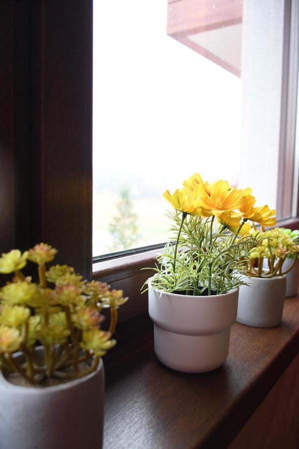 Apartman Dream Zlatibor Dış mekan fotoğraf